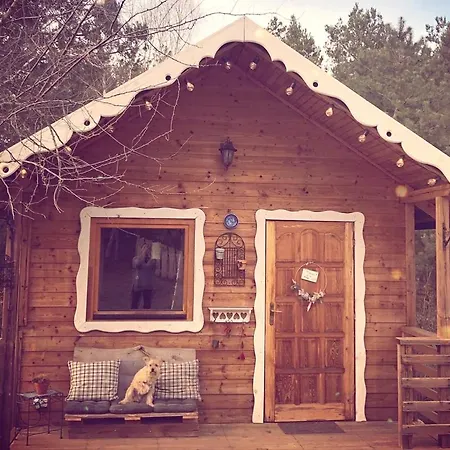 Campsite Siedlisko Lisia Nora *
